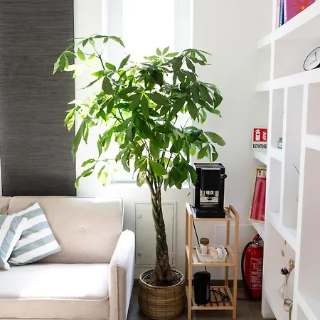 Attico Con Terrazzo